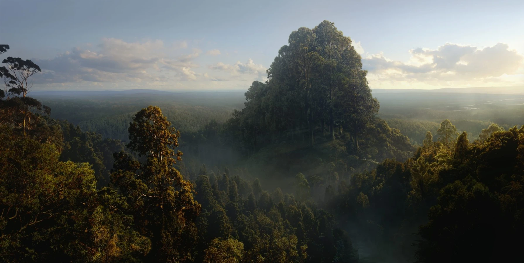 Forest peak digital matte painting by Dusso